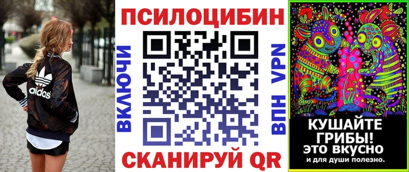 Псилоцибиновые грибы ЛСД  ссылка на мегу tor  Тутаев  что такое наркотик 