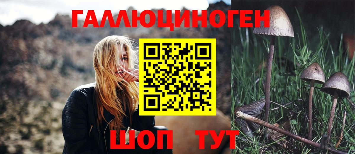 Галлюциногенные грибы прущие грибы  купить   Галлюциногенные грибы прущие грибы  Тутаев  Вход с VPN 